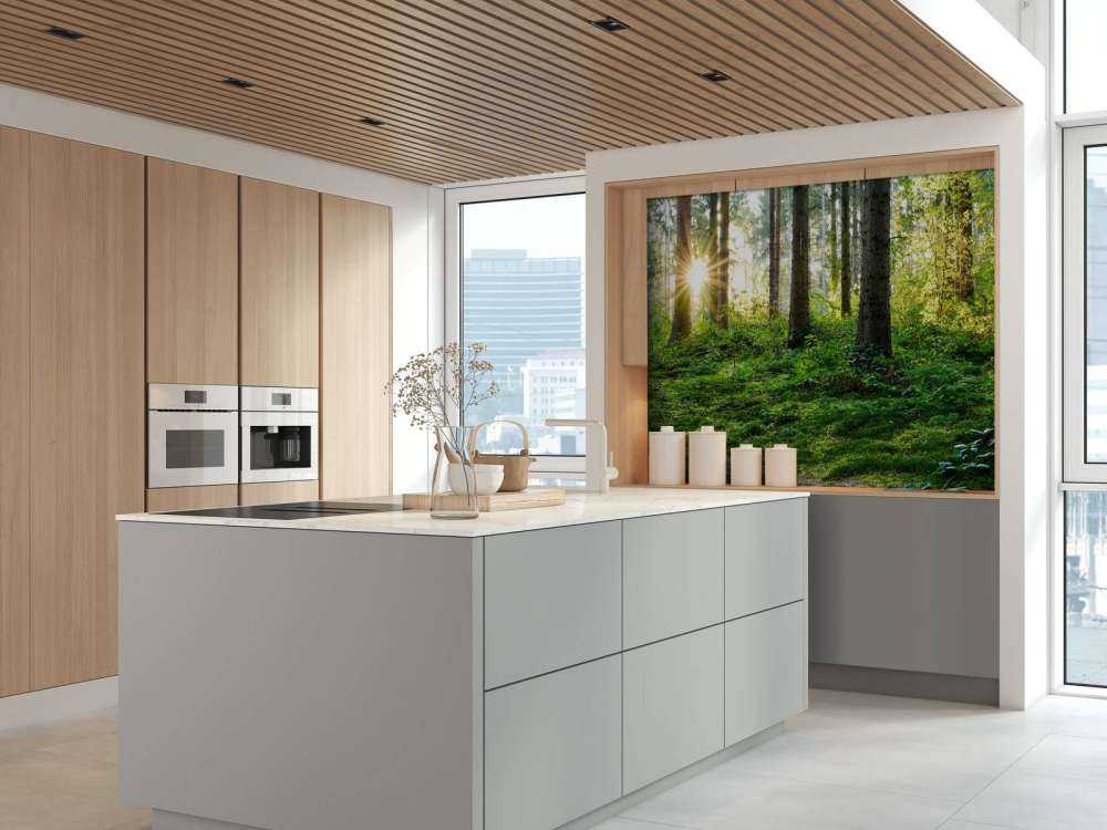 Forest panorama in spring