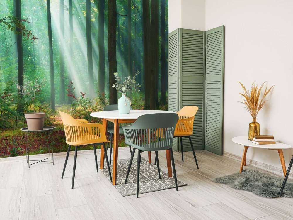 Morning in the woods