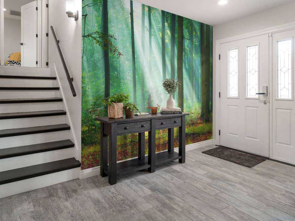 Morning in the woods