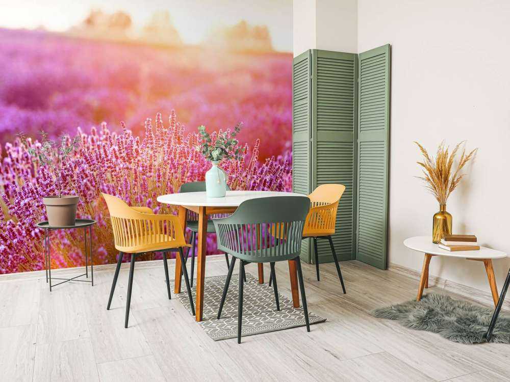 Close-up lavender flowers