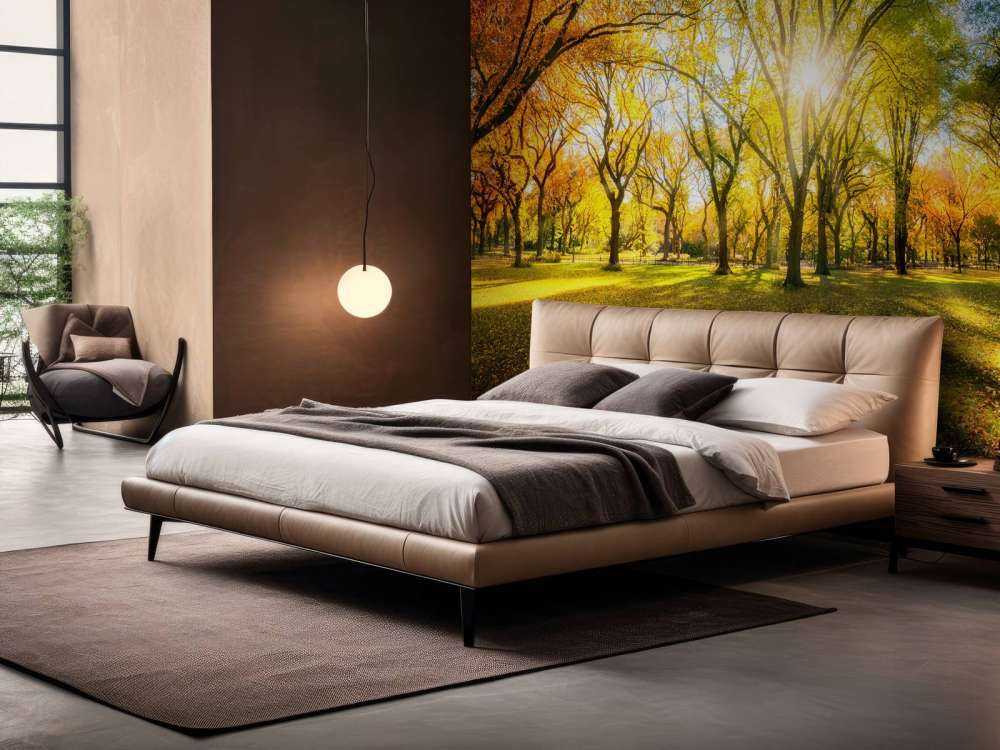 Colourful autumn forest