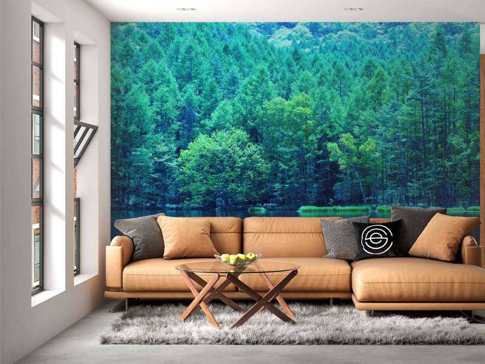 Lake in the green forest