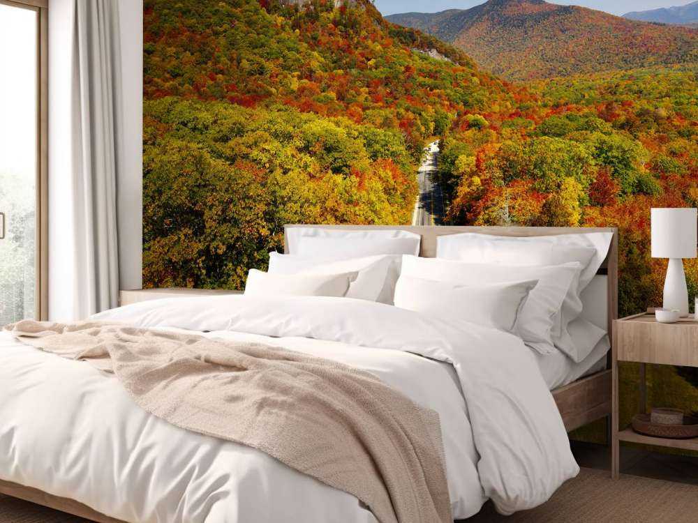 Road through the autumn landscape