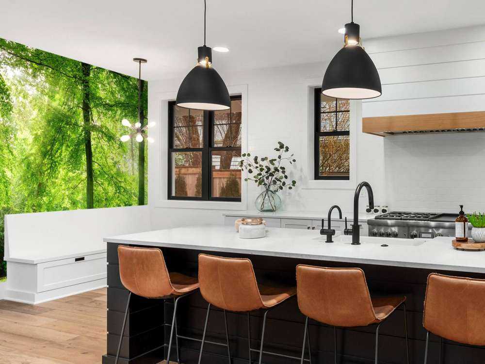 Forest with light mist