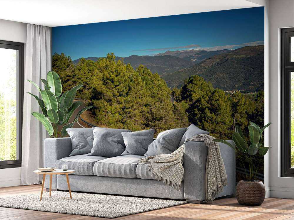 Lime green BMW on mountain road