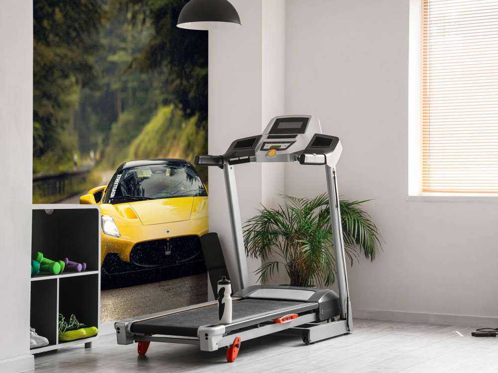 Maserati in the green forest