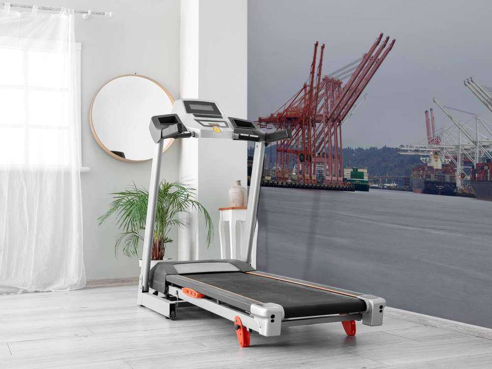 Hijskranen in de haven