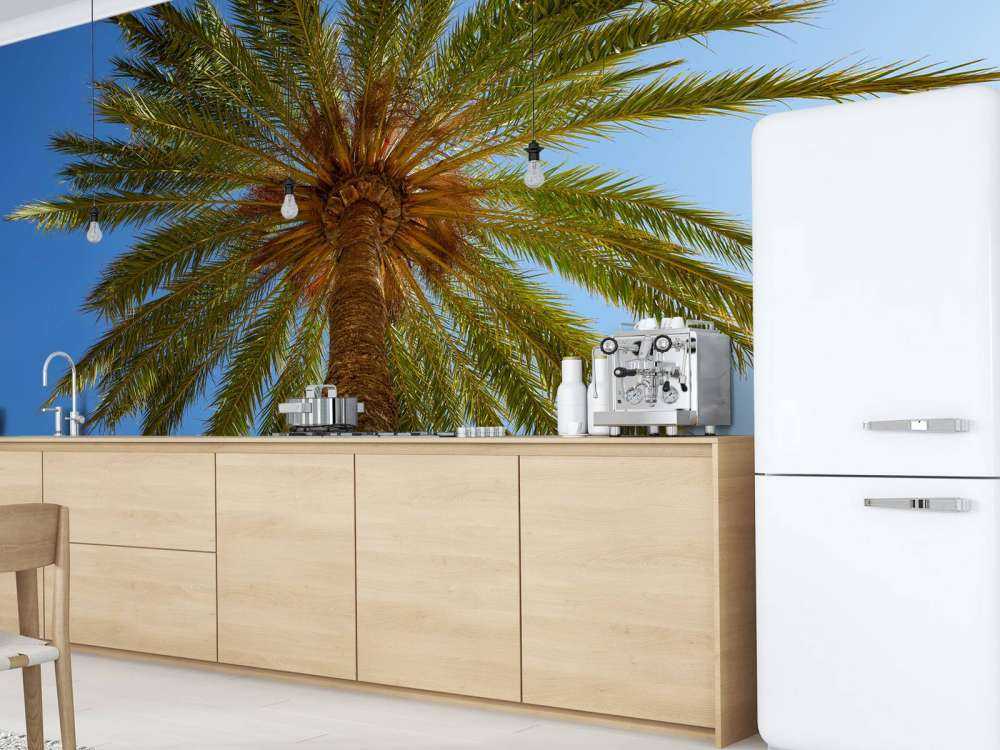 Gedetailleerde Palmboom