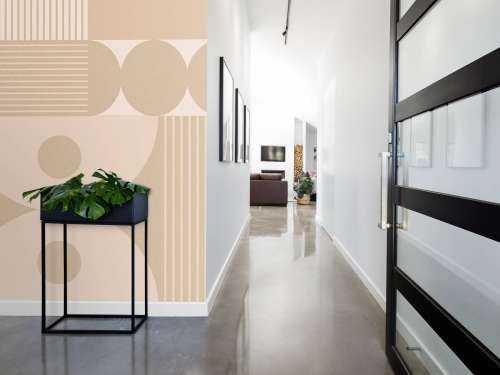 Simplicity Geometry