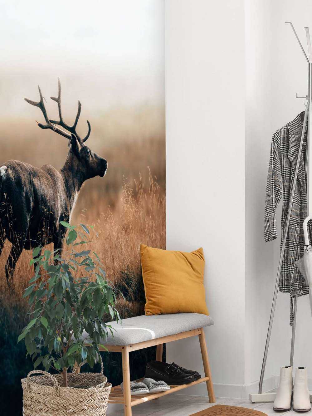 Reindeer in the high grass