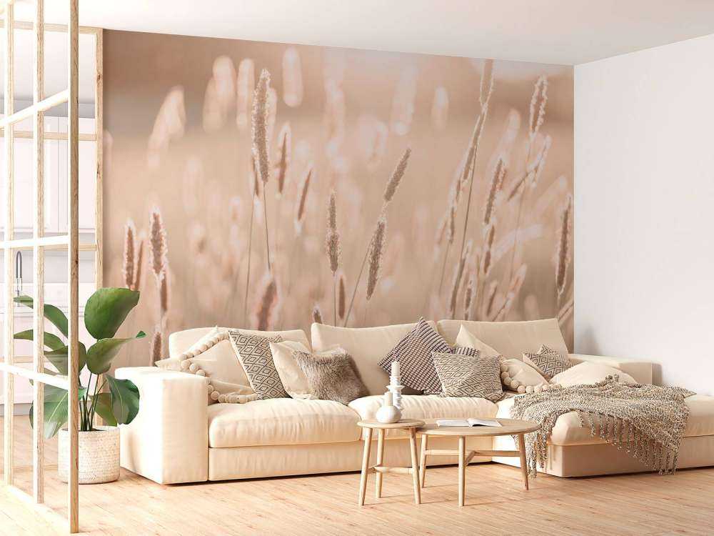 Sunlight through meadow