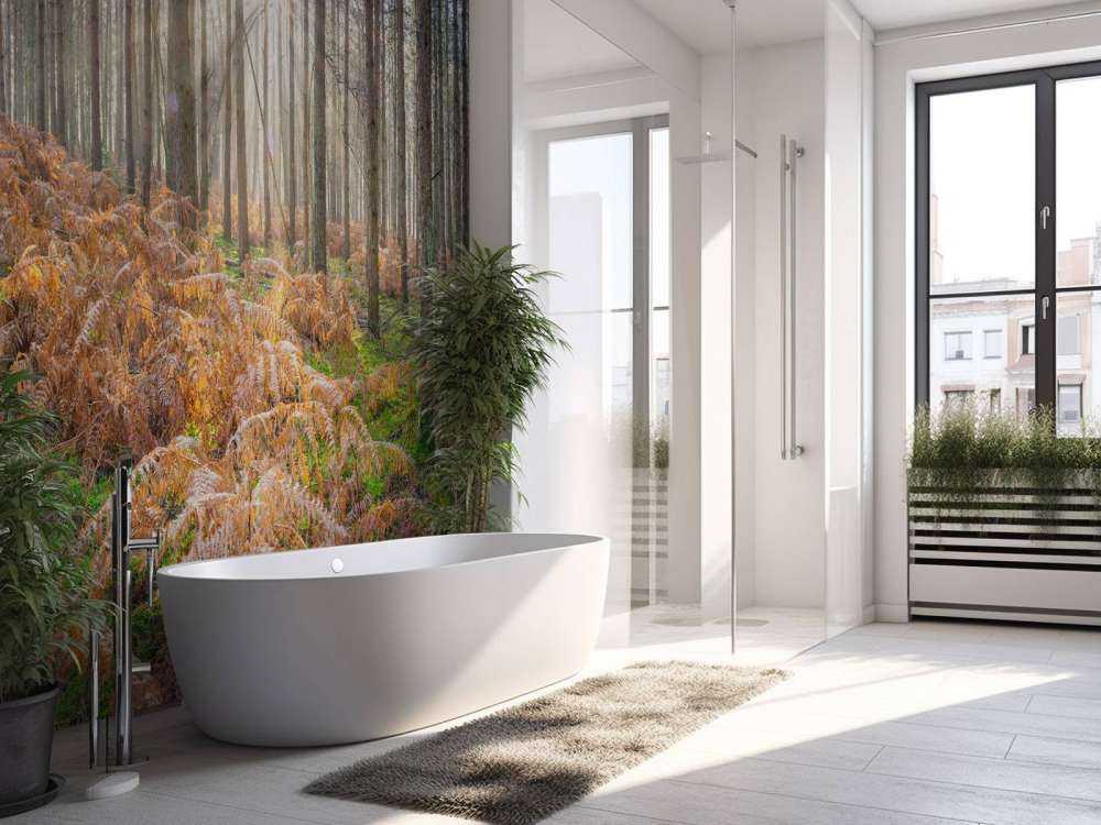 Forest during sunrise