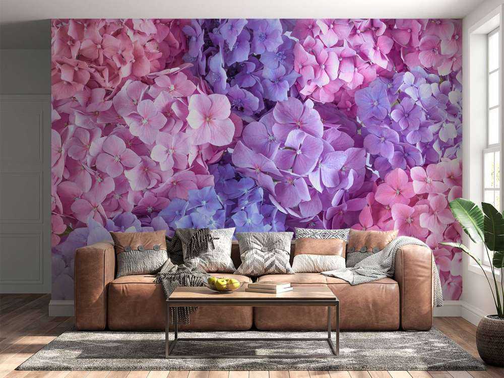 Colorful hydrangeas