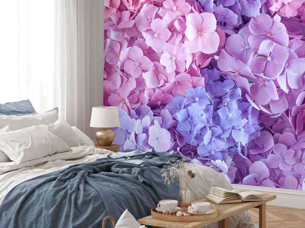 Colorful hydrangeas