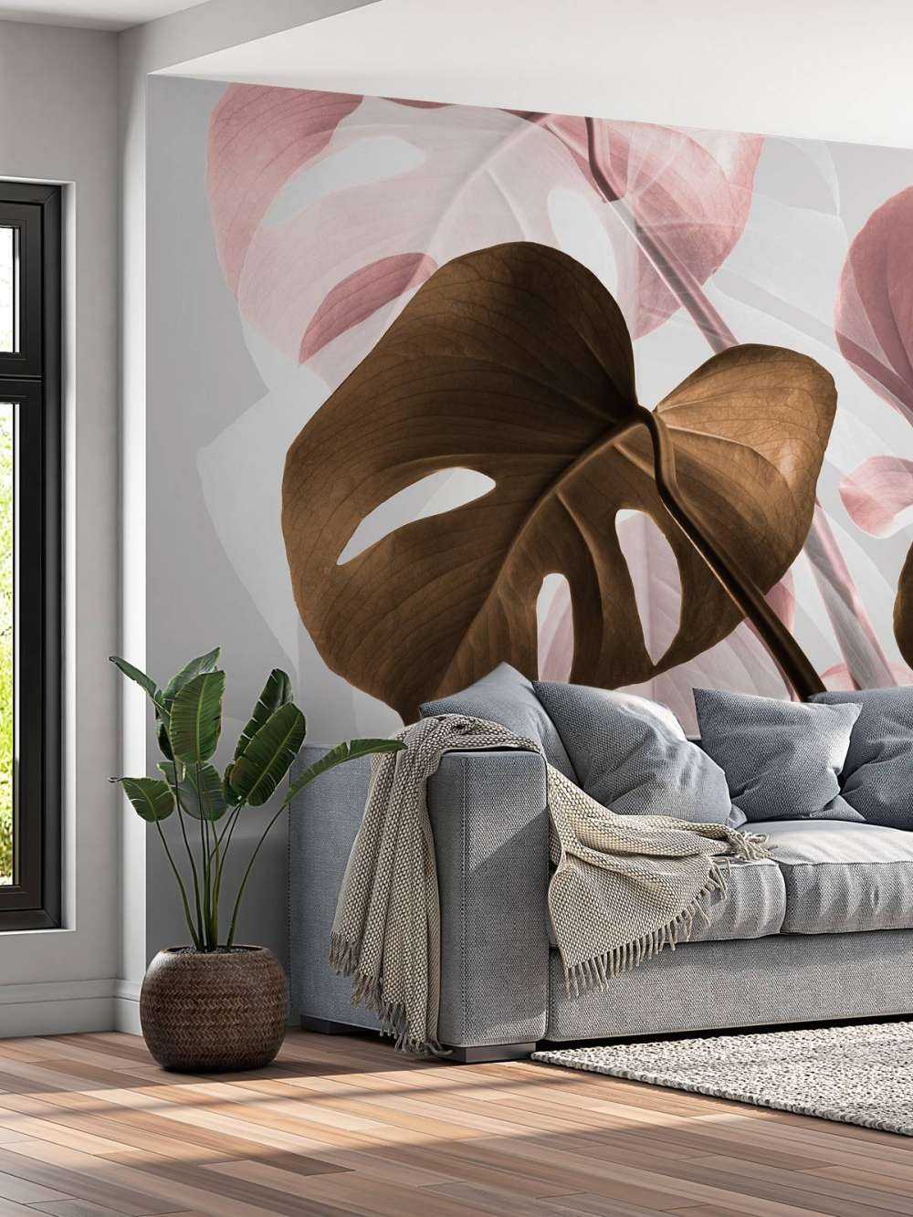 Monstera Creative 11