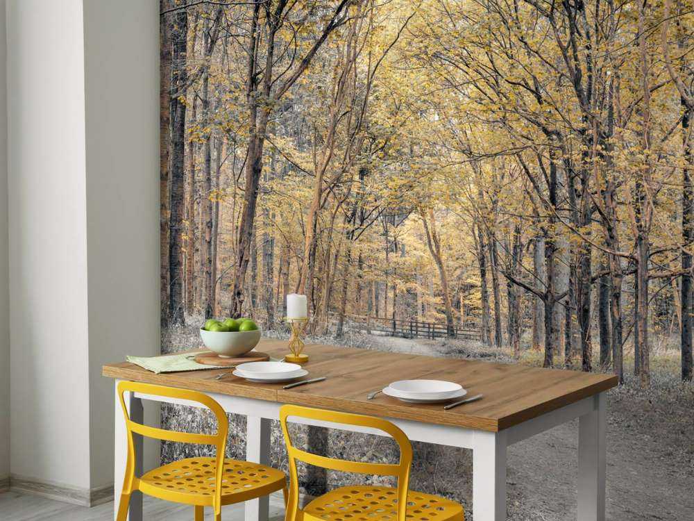 Forest road during autumn