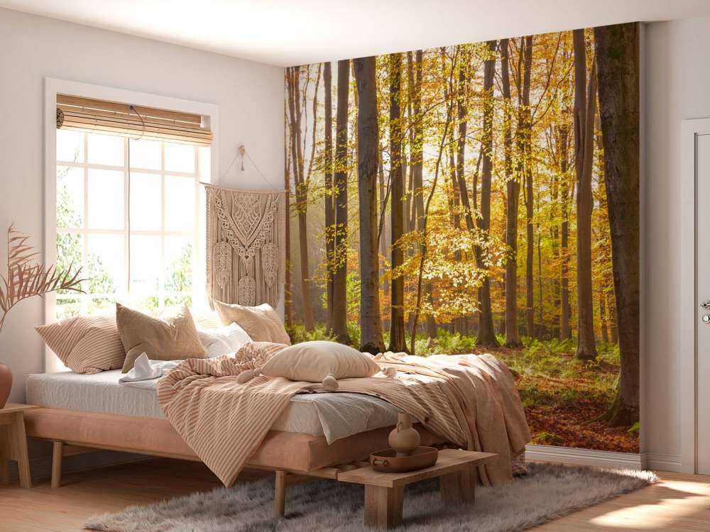 Sunny forest