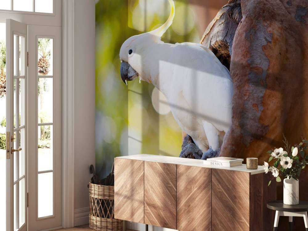 Cockatoo in tree cavity