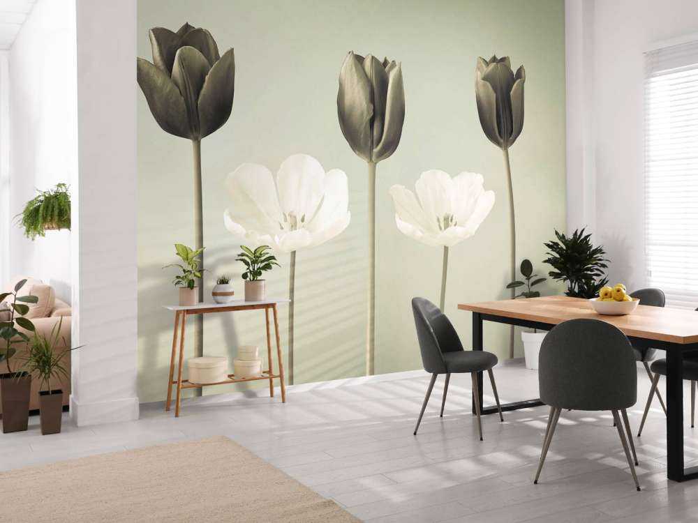 Tulips in a row