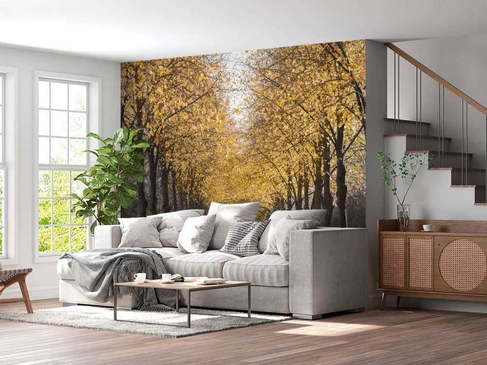 Path through the trees