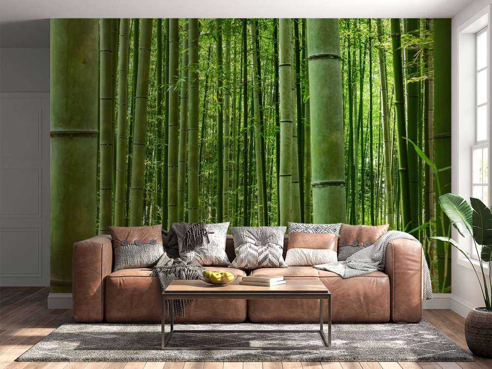 In the middle of the bamboo forest