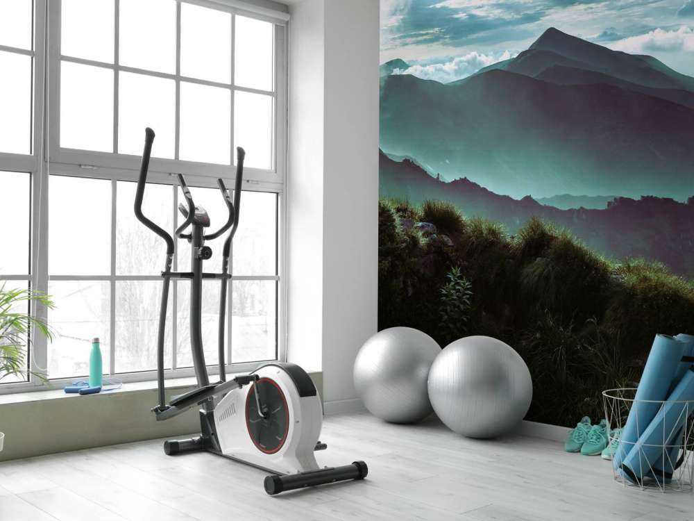 Jungle with mountains