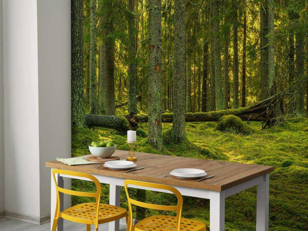 Green pine forest