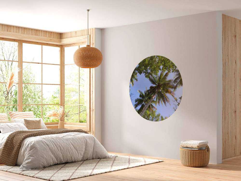 Palm trees from below