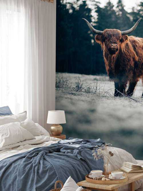 Old highlander