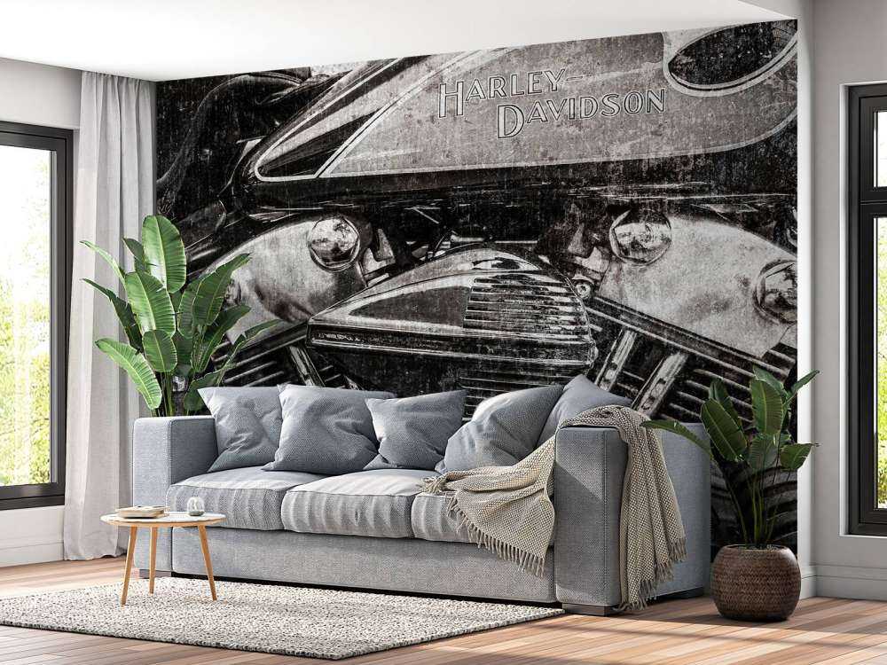 Harley davidson close-up