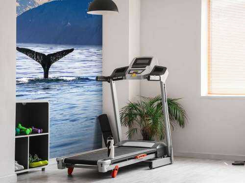 Diving whale with mountains in the background
