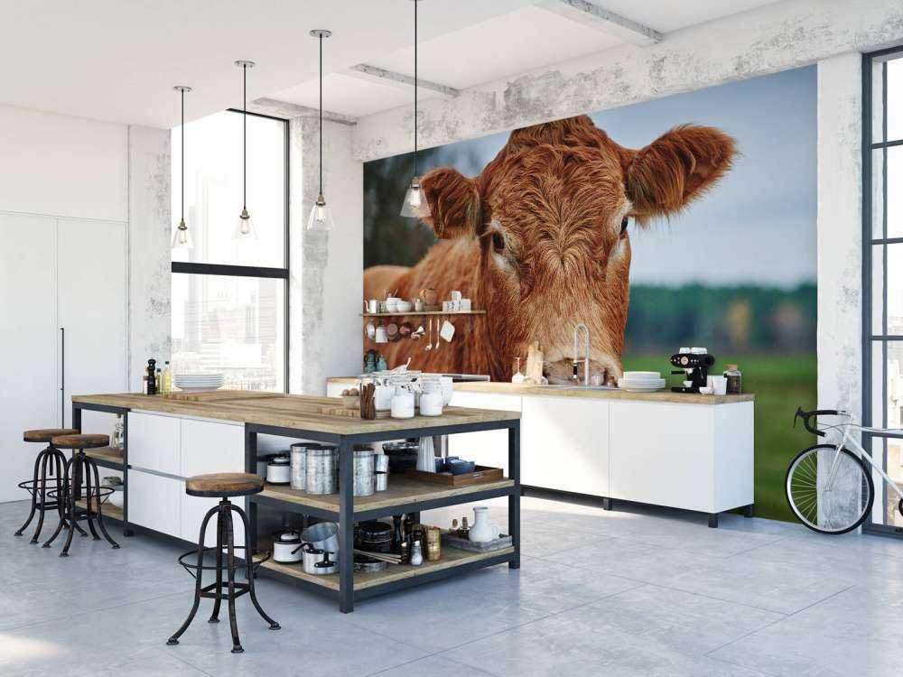 Portrait of a cow