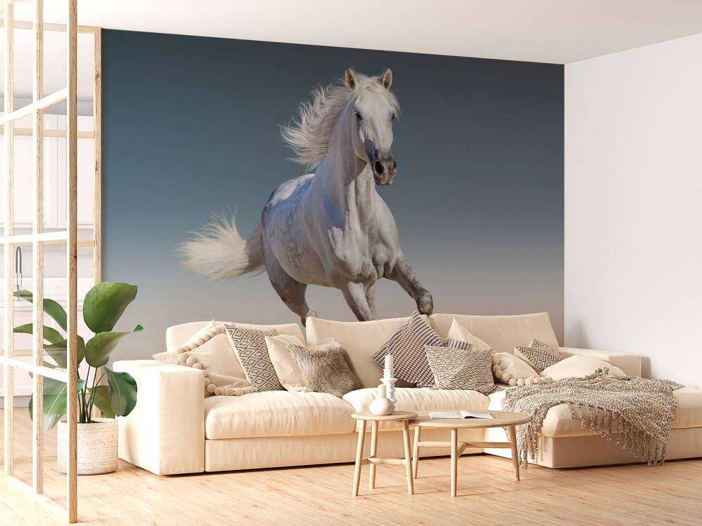 Galloping horse