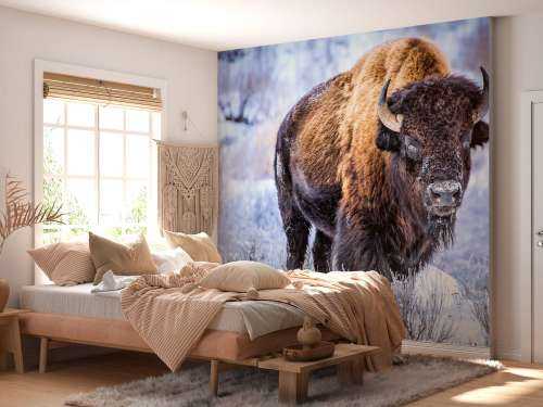 Bison