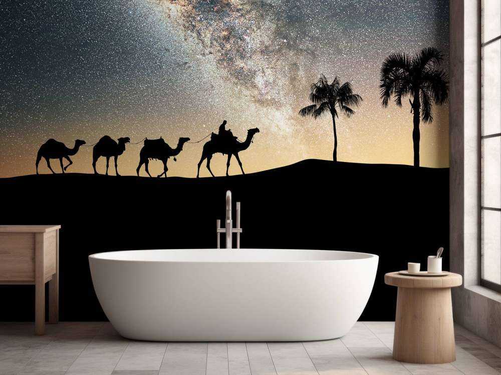 Kamelen in de Sahara