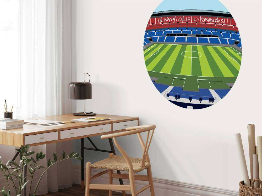 Parc Olympique Lyonnais Olympique Lyon Wallpaper