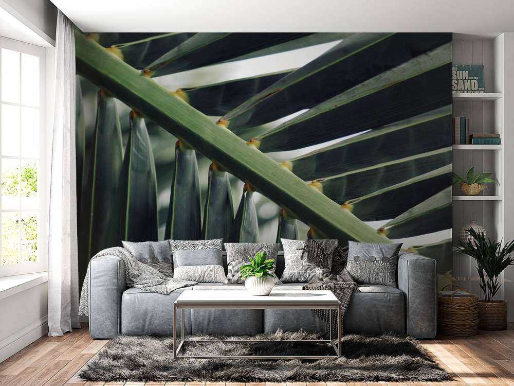 Close-up groene palmblad