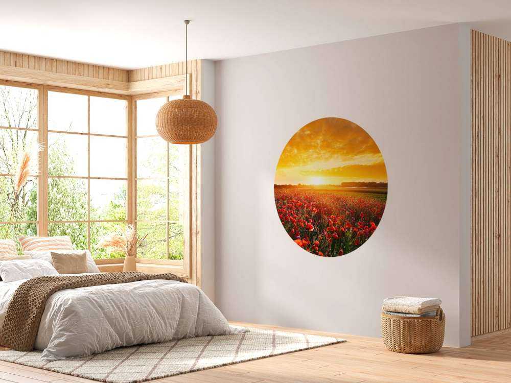 Poppies and Sunset