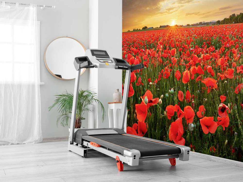 Sunset with poppies