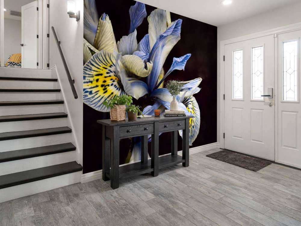 Blue Irises