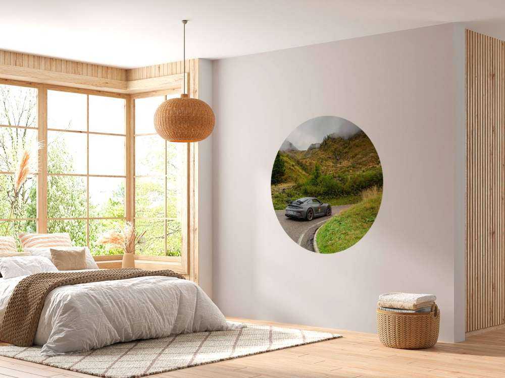 Sports car in mountain mist