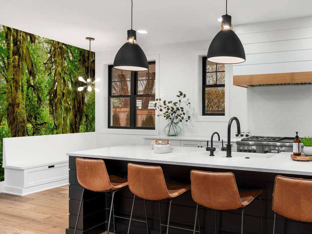 Old wilderness forest