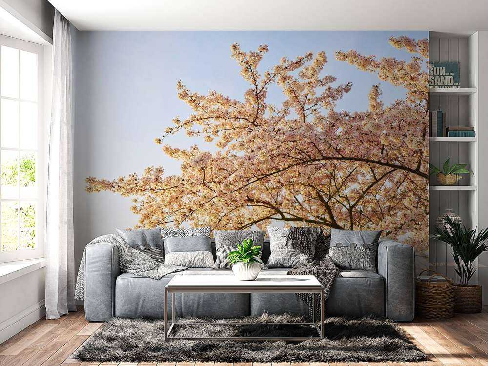 Blossom branch in bloom