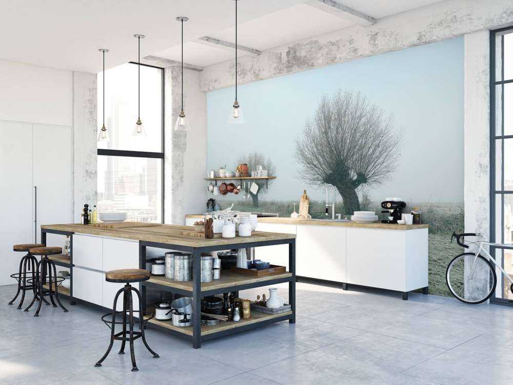 Pollard willows in the fog