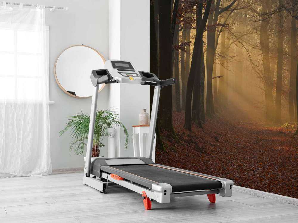 Mysterious autumn forest