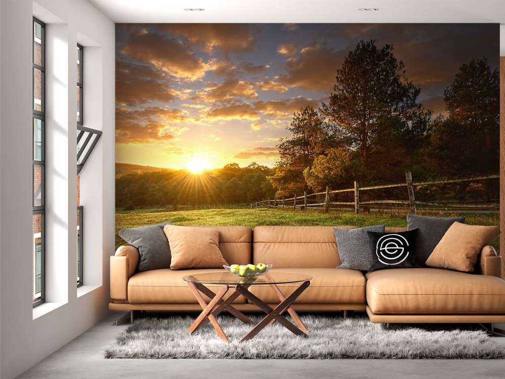 Pasture at sunset