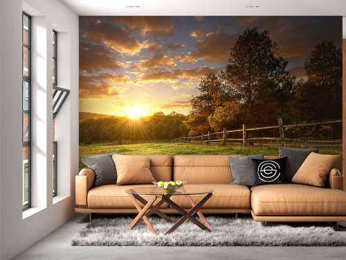 Pasture at sunset