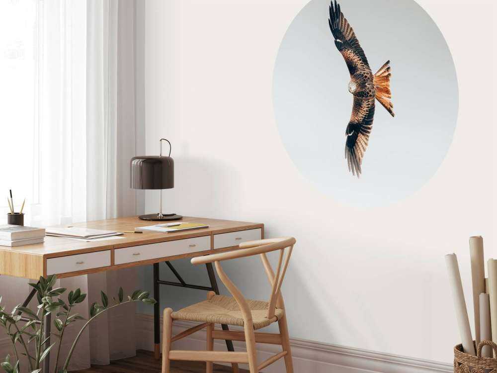 Red kite with wings spread