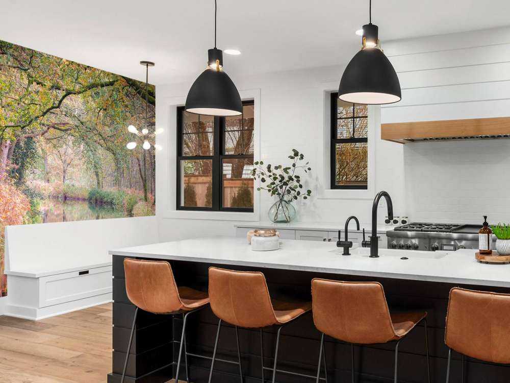 Covered colorful forest