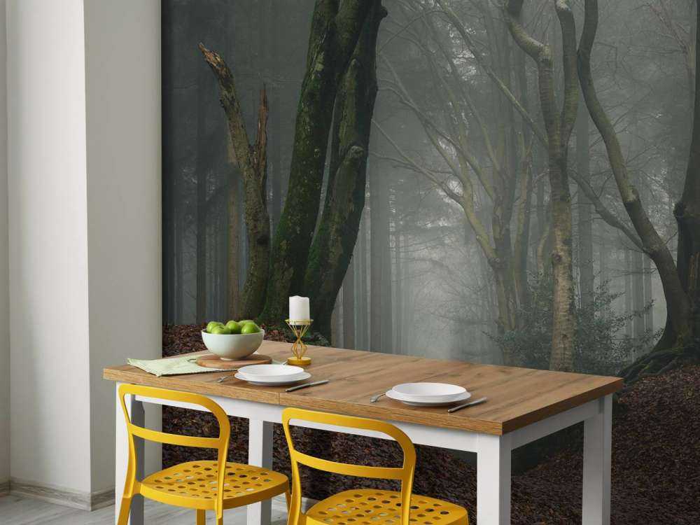 Path through mysterious forest